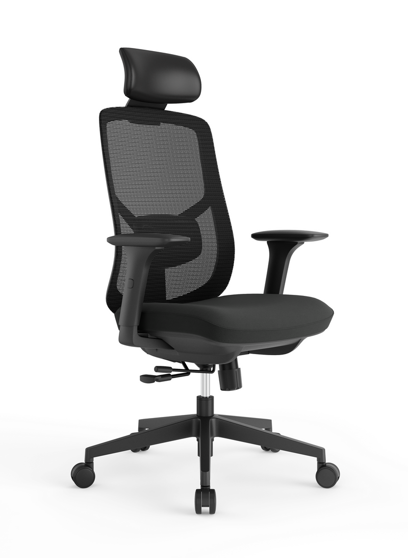 Ergo Essential Ergonomic Office Chair