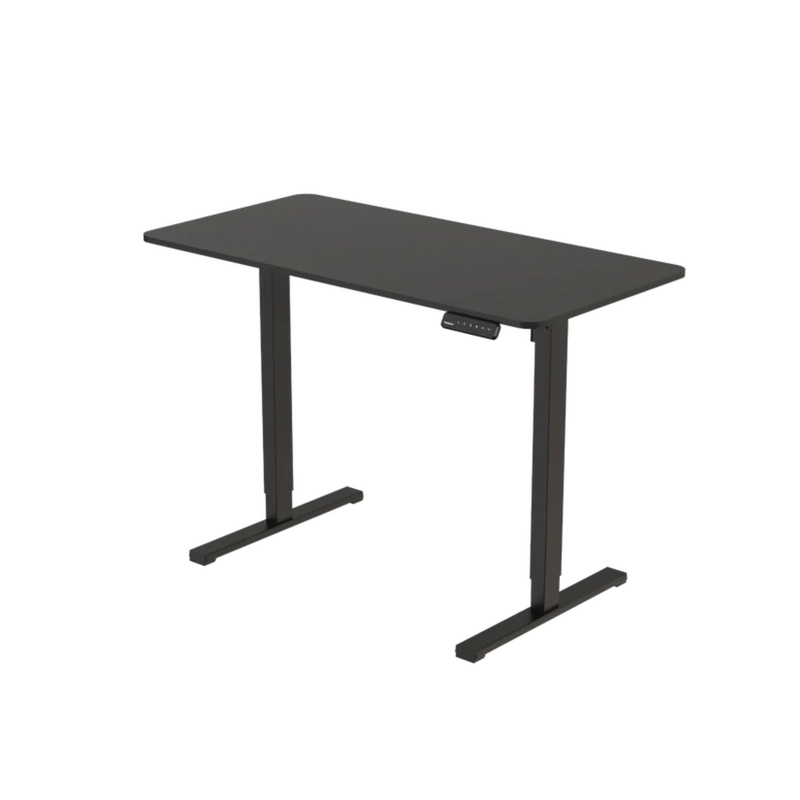 FlexiSpot FQ2 Economical Height Adjustable Desk