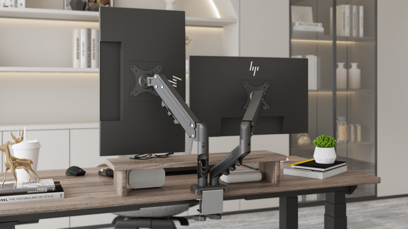 FlexiSpot F5D Dual Monitor Arm