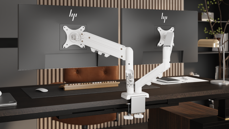 FlexiSpot F5D Dual Monitor Arm